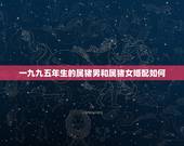 一九九五年生的属猪男和属猪女婚配如何，95年属猪男和属猪女配吗？