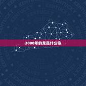 2000年的龙是什么命，2000属龙的女孩找属什么的好