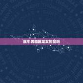 属牛男和属龙女相配吗，那个大师看看，牛男和龙女做夫妻好吗