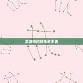 龙婆柳招财龟多少钱，金头龟多少钱一只？