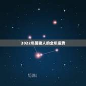 2022年属猪人的全年运势，1983年属猪2022年运势