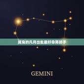 属兔的几月出生最好命男孩子，属兔啥月份出生最好命