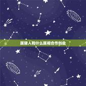 属猪人和什么属相合作创业，属猪的和什么属相做生意最好