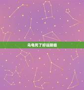 乌龟死了好运降临，乌龟死了是有什么预兆