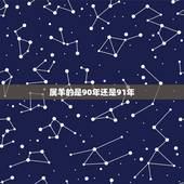 属羊的是90年还是91年，1991年属羊是什么命五行