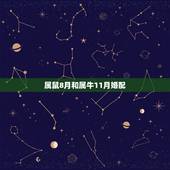 属鼠8月和属牛11月婚配，女人属鼠9月和男人属牛8月结婚好不好