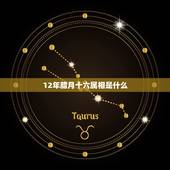 12年腊月十六属相是什么，公历1991年农历12月16日属相是什么？