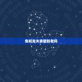 兔和龙夫妻能到老吗，87年女兔88年男龙婚配