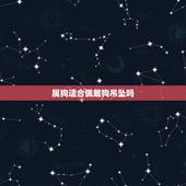 属狗适合佩戴狗吊坠吗，属狗的戴什么手串最合适