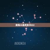 属兔人逢虎年2022，属兔虎年运势2022年