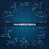 1995木猪命五行缺什么，属猪人五行缺什么？