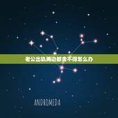 老公出轨两边都舍不得怎么办，老公出轨，作为妻子，离婚又舍不得，不离婚又