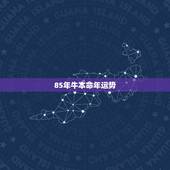 85年牛本命年运势，85属牛人2022 年运势运程