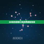 88年的龙和93年的鸡婚配怎样，1988年属龙的和1993年属鸡的婚姻