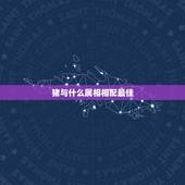 猪与什么属相相配最佳，属猪配什么属相最合适