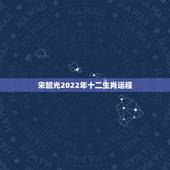 宋韶光2022年十二生肖运程，宋韶光2022年生肖运势排行榜
