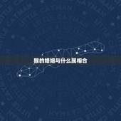 猴的婚姻与什么属相合，猴子和什么生肖最合的来？