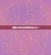 属蛇44岁过后的命运2021，1977年属蛇人2021年运势女