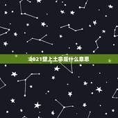 2021壁上土命是什么意思，2021是什么命