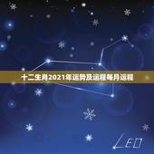 十二生肖2021年运势及运程每月运程，2021十二生肖的全年运势