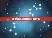 属龙分手后会找前任复合吗，对过去很不舍得，分手后还深爱着前任的生肖都有