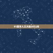 91属羊人三大劫2022年，91年属羊人三大坎