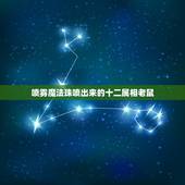 喷雾魔法珠喷出来的十二属相老鼠，在十二生肖中老鼠精是什么生肖