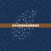 女牛与男龙的生肖婚配如何，男属牛女属龙相配吗
