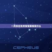 一月份出生的宝宝属相是什么，2022年1月出生的宝宝属什么？