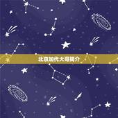北京加代大哥简介，北京各个城区的老大是谁？