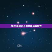 2023年属马人的全年运势男性，2023年3月20日1978属马男人的