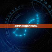 属龙的跟属龙的合财吗，属龙和属虎的合得来吗