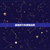 属猪的今年感情运势，属猪的今年感情运势怎么样