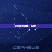 属相羊的养殖什么最好，91属羊的可以养什么鱼