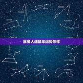 属兔人遇鼠年运势怎样，兔人遇鼠年2022 运势如何