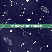 1971年农历11月出生属猪婚配，属猪人每天财运是几点到几点