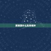 属猪跟什么生肖相冲，猪冲什么生肖
