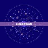 2022年生肖运势，2022年财运排名属相