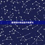属羊的55年出生今年多大，1985年属牛2022 年运势及运程女性