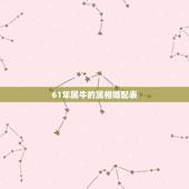 61年属牛的属相婚配表，12属相婚配表(十二生肖婚配表)
