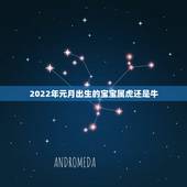 2022年元月出生的宝宝属虎还是牛，明年虎年，孩子出生几号才是属虎的？