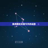 属虎的处女座今天的运势，1986年属虎人处女座，2016运势