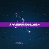 属狗女最佳婚配属相月出生最好，属相属狗的婚配什么属相最好