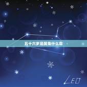 五十六岁是属兔什么命，56岁属什么生肖