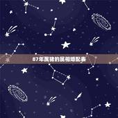 87年属猪的属相婚配表，94年属狗的属相婚配那一年