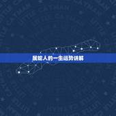 属蛇人的一生运势讲解，属蛇人的一生被为什么累