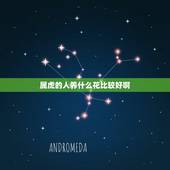属虎的人养什么花比较好啊，属虎家里摆放什么花