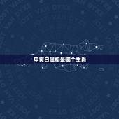 甲寅日属相是哪个生肖，壬子年是哪一年