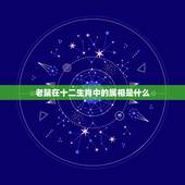 老鼠在十二生肖中的属相是什么，十二生肖中，老鼠的代号是什么？
