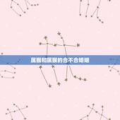 属猴和属猴的合不合婚姻，属猴和属猴的婚配如何
